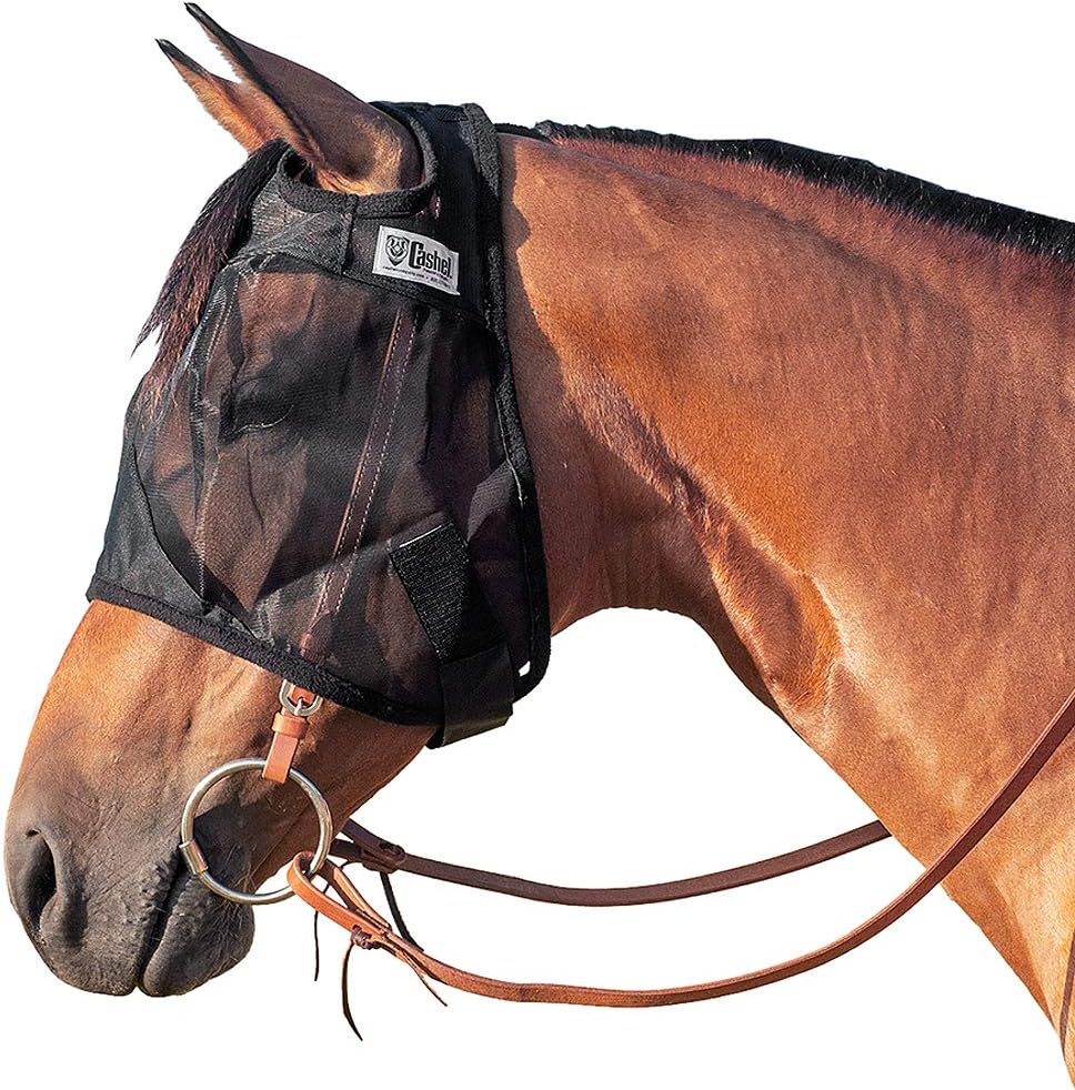 Cashel Quiet Ride Fly Mask secured over horse bridle