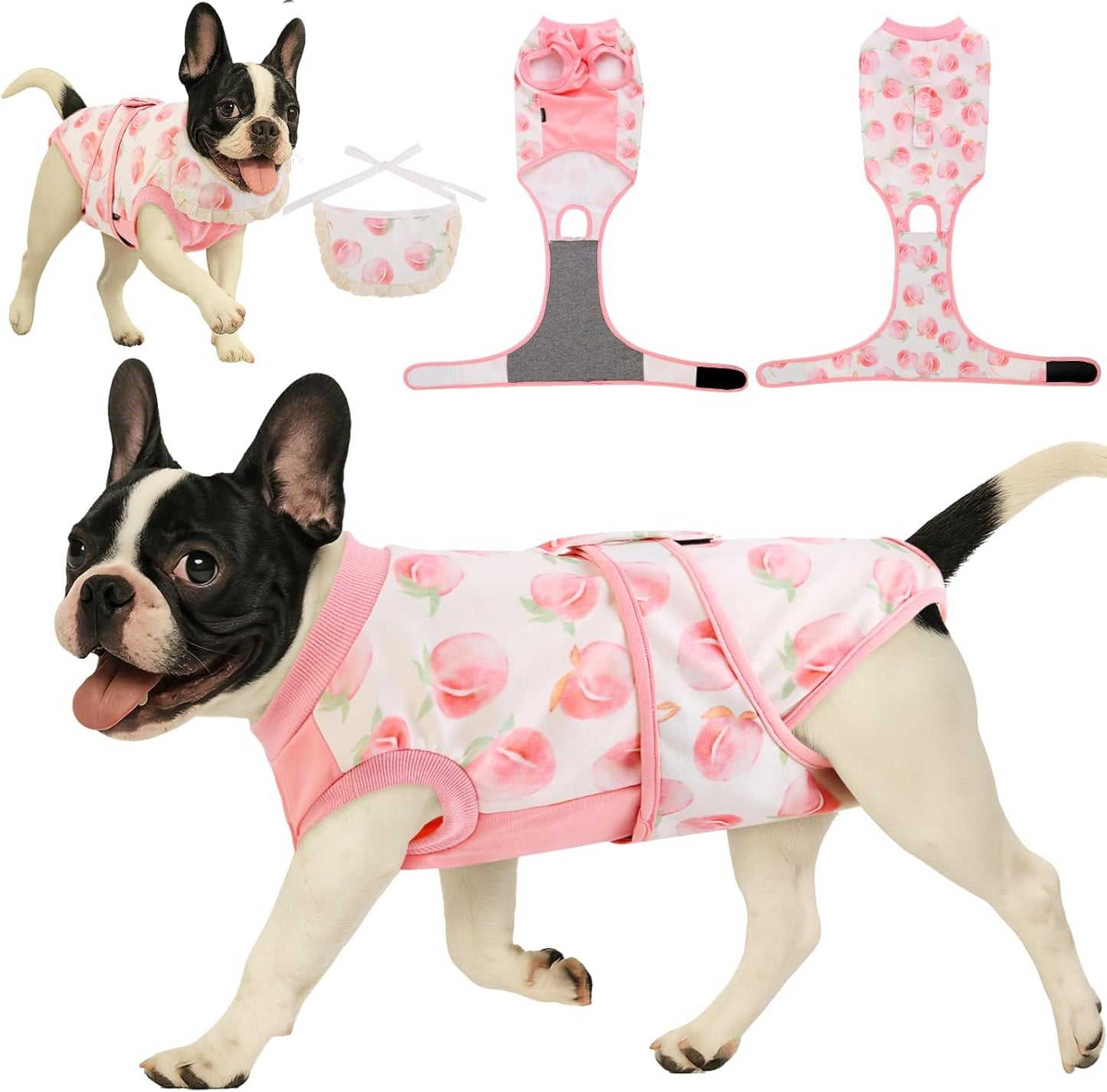 Surgery Recovery Suit for Female/Male Dog After Spay/Neuter, Soft Bandana Set Included, E-Collar Cone Alternative to Stop Licking Abdominal Wounds, Small Dogs Full Body Onesies, Medical Pet Bodysuit - Image 15