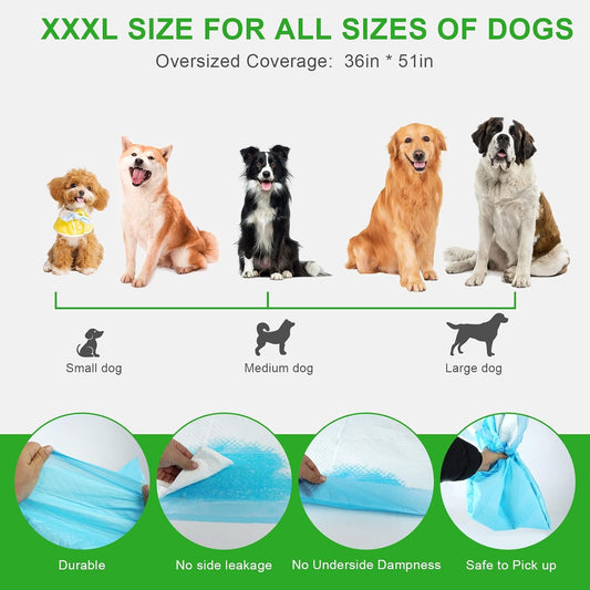 Heavy duty blue disposable training pads for dogs and cats spread out on the floor.
