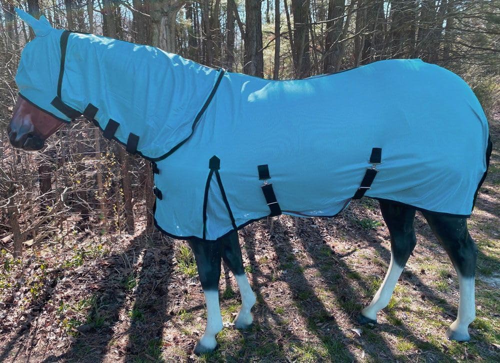 Full set Rugged Ride horse fly sheet and mask on horse