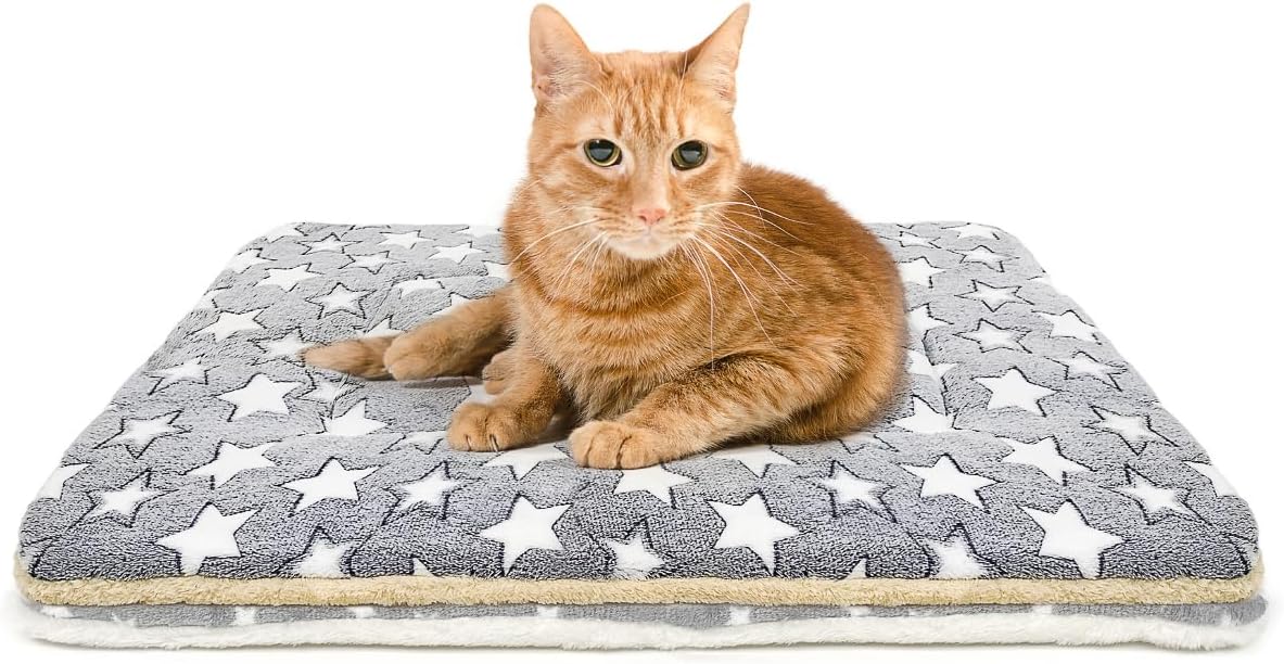 2 Pack Cat Blanket for Indoor Cats Ultra Soft and Warm Calming Cat Bed Fleece Pet Mat for Anxiety and Stress Washable Kitten Blanket - Image 13