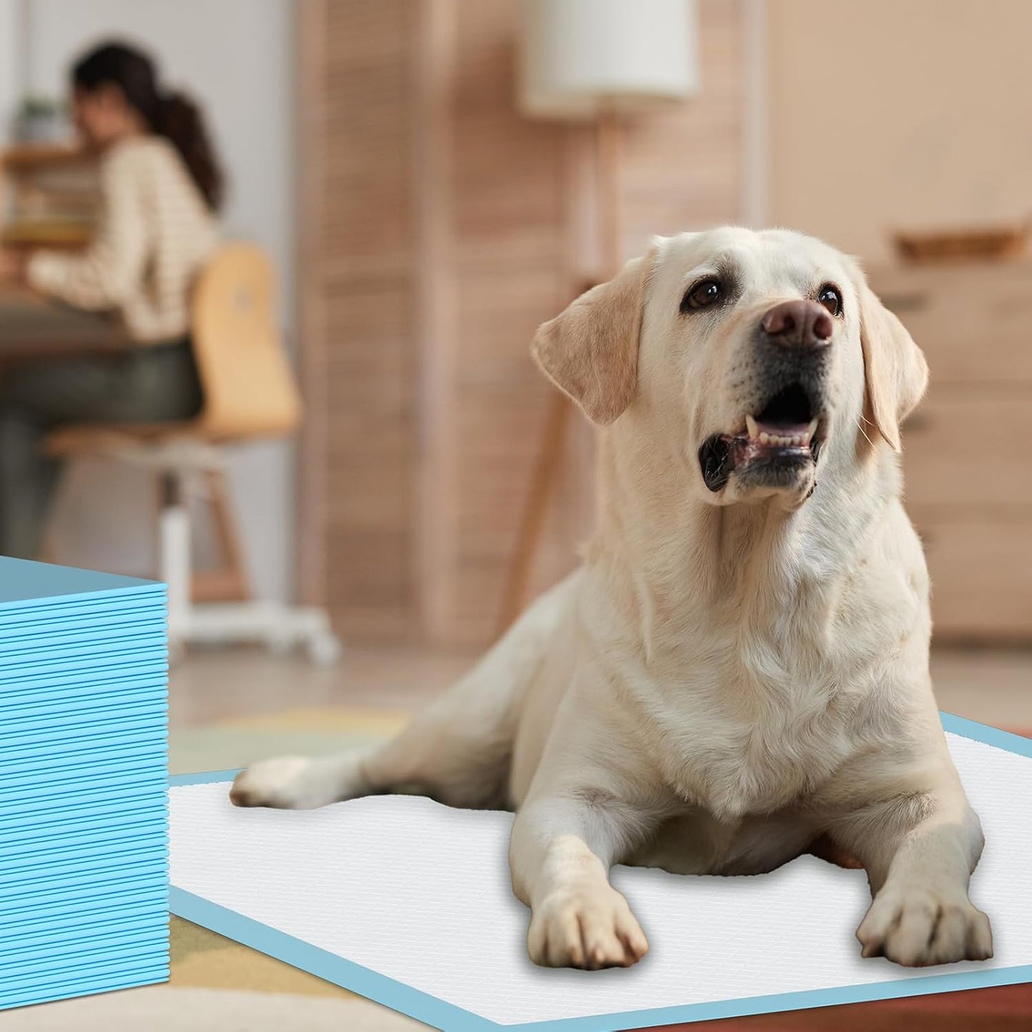 SUGUNING disposable potty training mats placed under dog food and water bowls