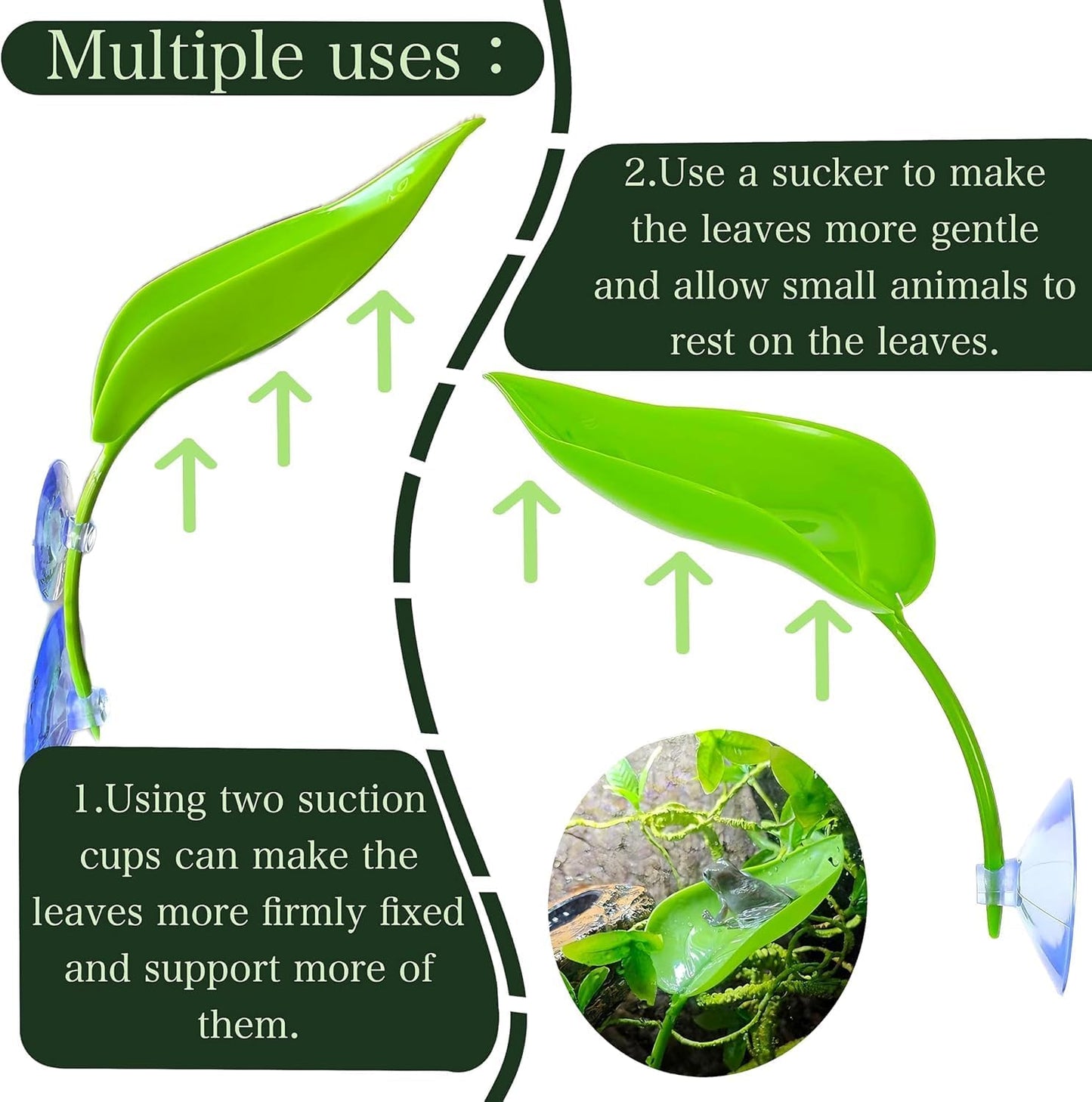 Detailed view of suction cup mounting for terrarium decor