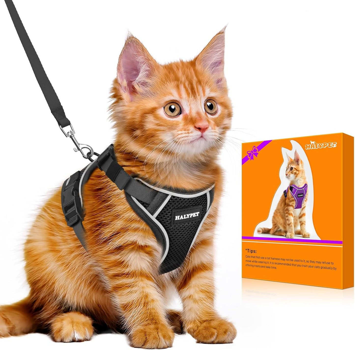 Halypet Cat Harness and Leash Set - MAX Safety 4th-Gen Upgrade, Escape Proof, Adjustable, Comfortable Soft Vest, Easy to Wear Kitten Harness with Reflective Strip for Cats Walking - Small Black - Image 15