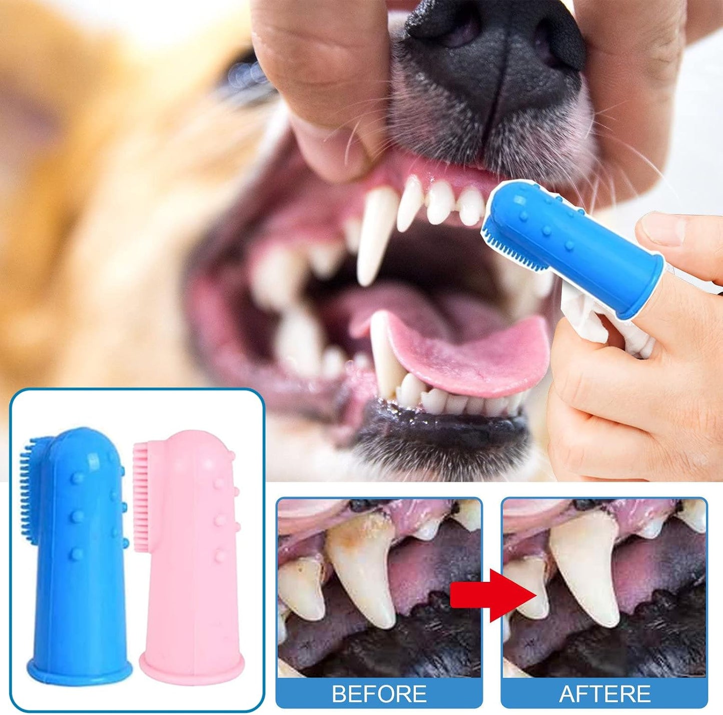 Complete 8 piece pet oral hygiene dental kit
