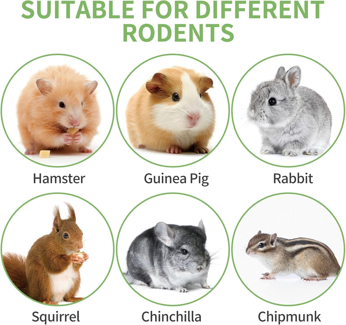 Safe dye free rodent foraging treats and teething accessories displayed on a clean background