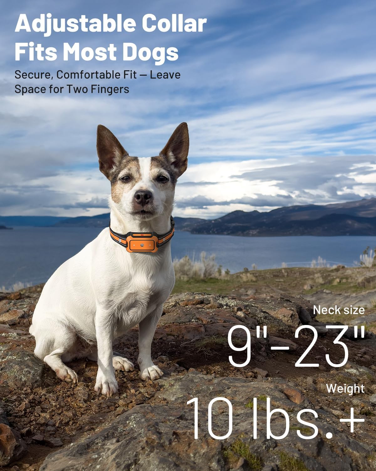 LYZPET waterproof collar receiver showcasing the adjustable strap designed for dogs weighing fifteen pounds and up.