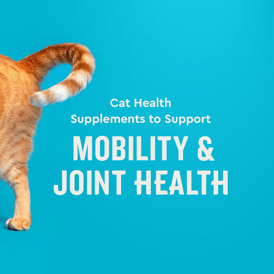 VetIQ chicken flavored joint health chews for cats close up