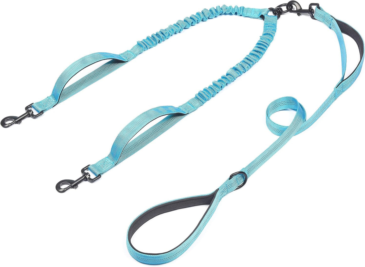 Premium imported dual pet walking lead kit close up view