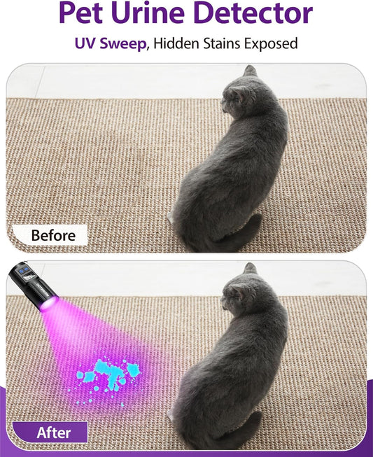 Ultraviolet Torch Showing Digital Battery Display Screen