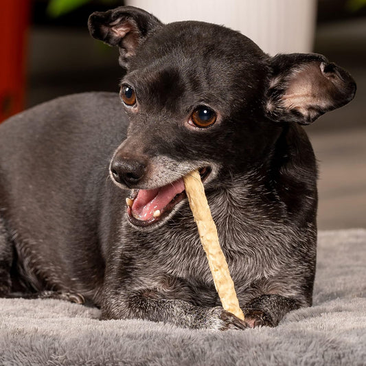 Pet Factory five inch natural flavor munchy rolls showing crunchy texture for dogs