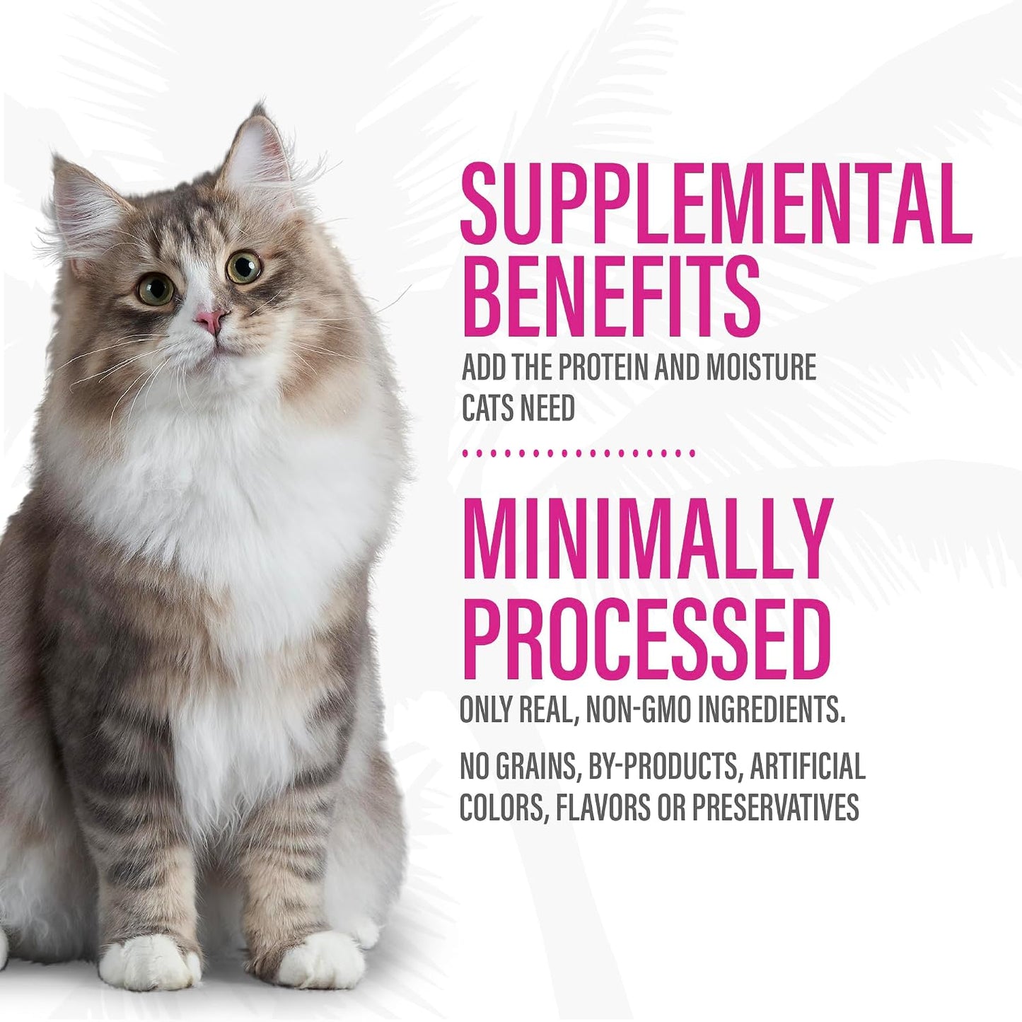 Tiki Cat Born Carnivore Complements Wet Cat Food Topper, High Protein & Limited Ingredient, Variety Pack 2.1 oz. Pouch (12 Per Box) - Image 11