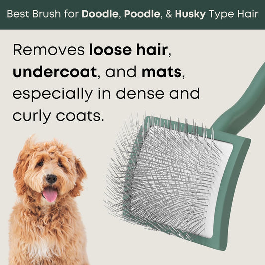 Freshly Bailey long pin slicker brush showcasing the flexible stainless steel pins