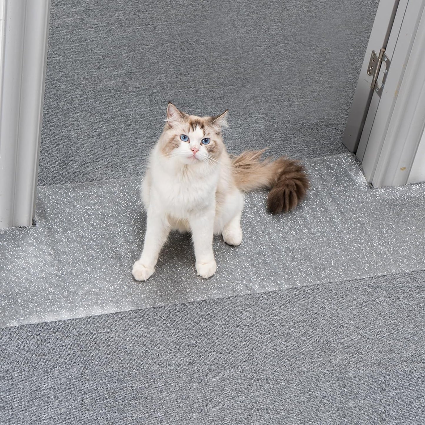 Uross Carpet Protector for Pets - Cat Carpet Protector for Doorway, Anti Scratch Under Door Cat Scratch Protector Mat, Easy to Cut Plastic Carpet Scratch Stopper Guard 3.6FT x 3PCS - Image 15