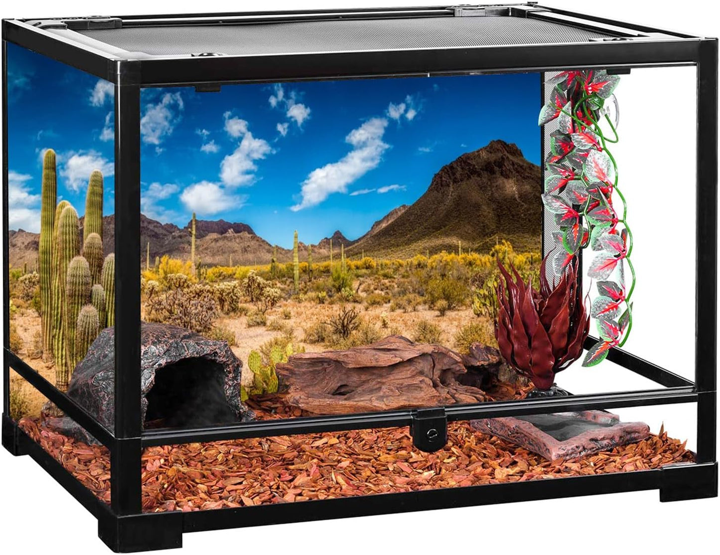 Durable fade resistant terrarium poster for fish tanks and reptiles