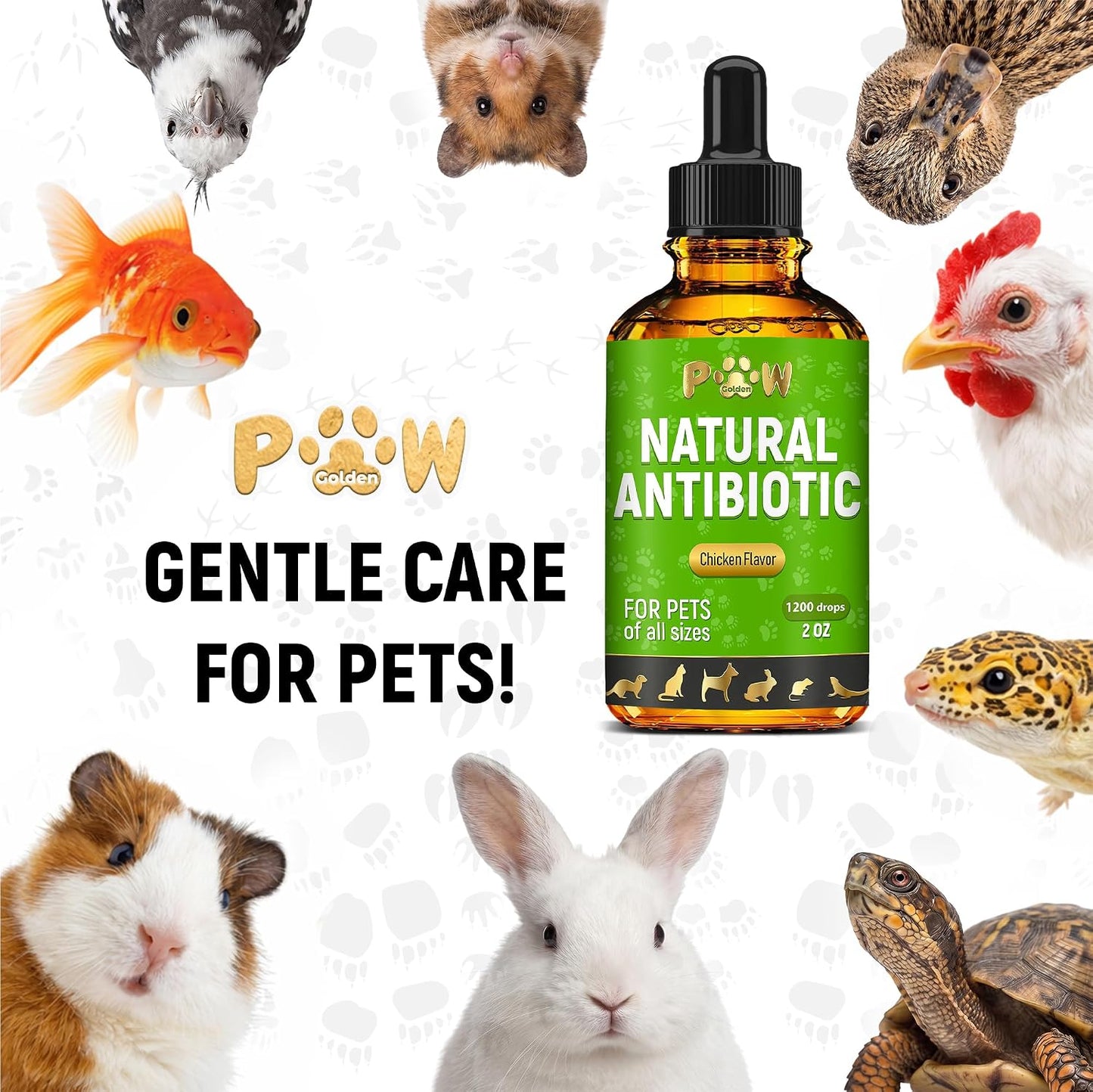 Premium pet wellness natural antibiotic supplement for turtles and exotic animals