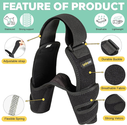 Dog wearing Lyderpet elbow protector for joint support