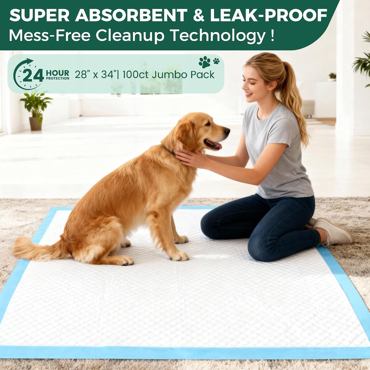 Authentic USA imported premium pet training pads hundred count box details