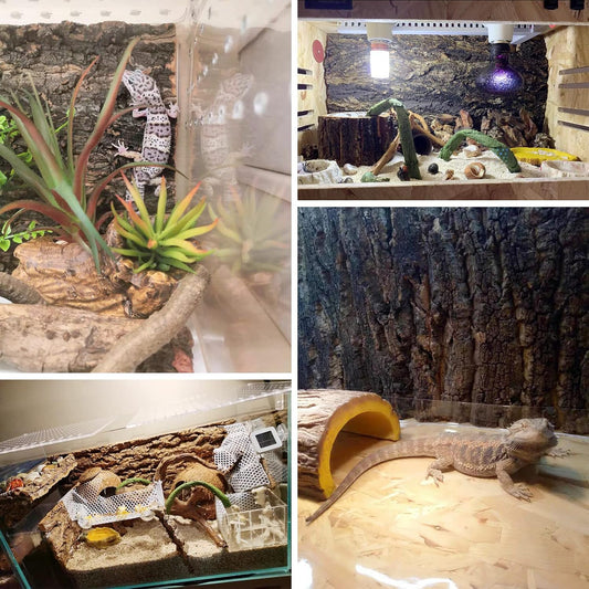 Natural cork bark texture close up for reptile climbing wall