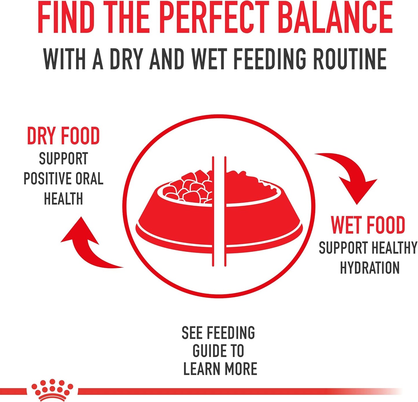 Royal Canin Breed Health Nutrition Chihuahua Adult Loaf in Sauce Dog Food, 3 oz (Pack of 6) - Image 9