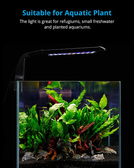 Nicrew fish tank light showing white and blue LED spectrum