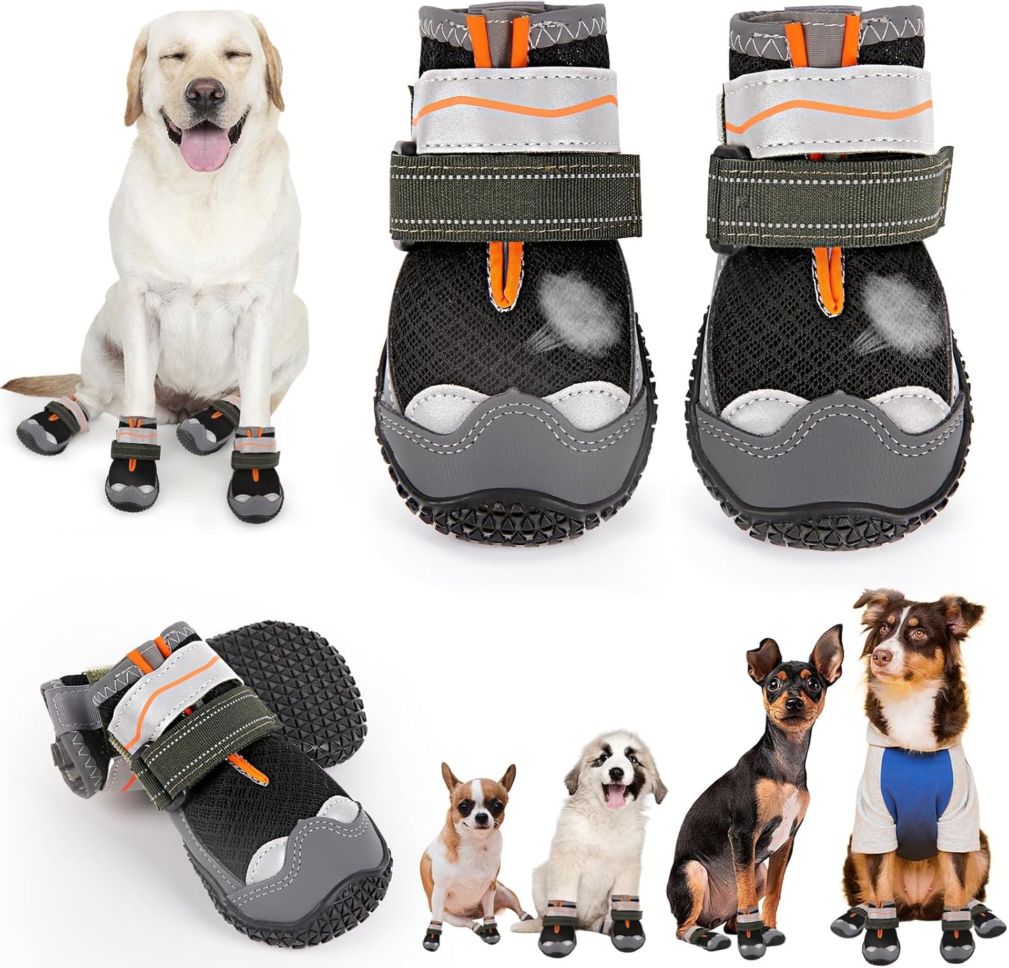 Full set of four TEWIWAP purple dog boots for winter