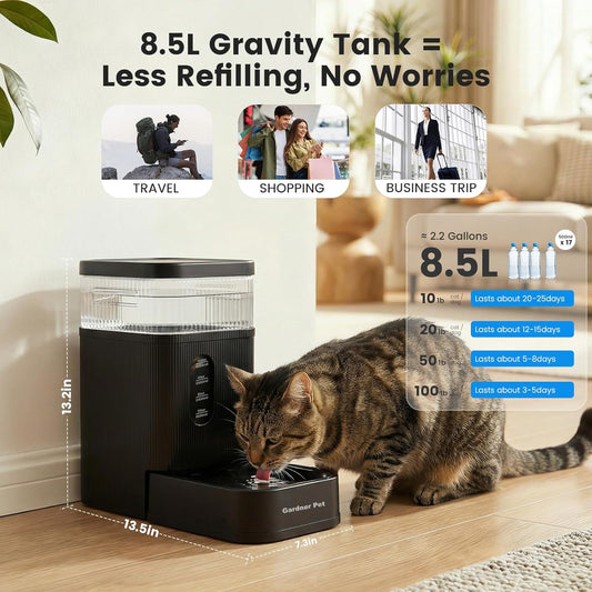 Gardner Pet gravity water feeder showcasing the removable stainless steel bowl and filtration system.