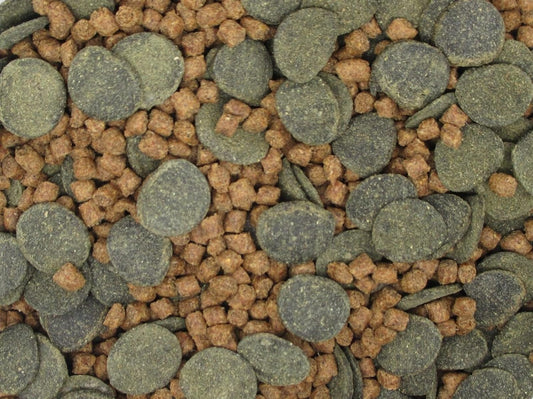 Nutrient-rich algae discs and Nutri-Spheres blend