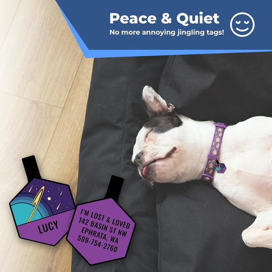 GoTags personalized engraved silicone pet ID tag showing custom contact text on the back.