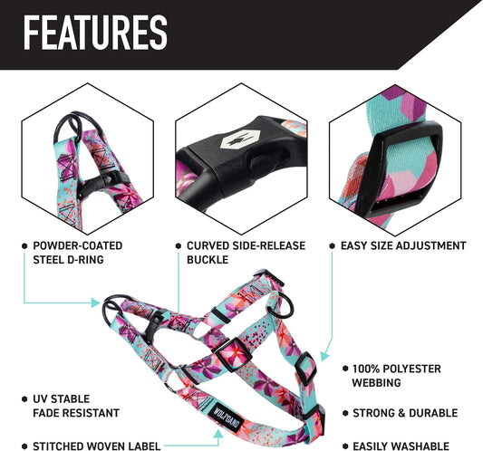 Close up of Wolfgang heavy duty dog harness steel D-ring