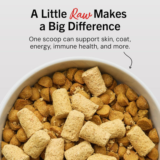 Stella & Chewy's Dandy Lamb dog food topper freeze-dried pieces close up