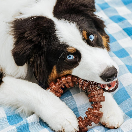 Extra large nylon dog chew ring with ridges for cleaning teeth.
