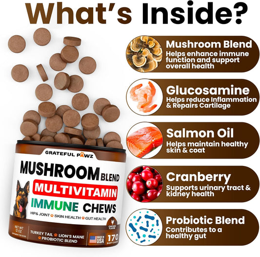 Vet Promise dog immune multivitamin chews back label highlighting active functional mushroom ingredients