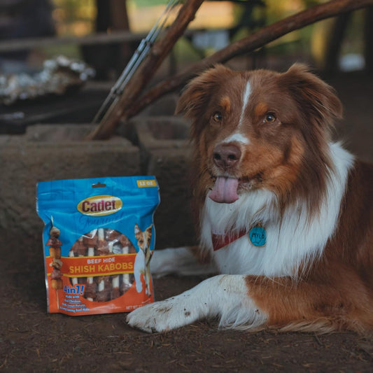 Cadet dog treats showing chicken duck and sweet potato layers