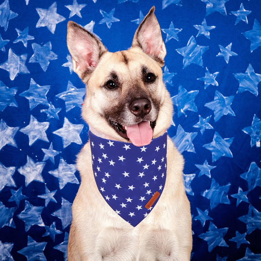 Close up of blue star print reversible pet scarf bib