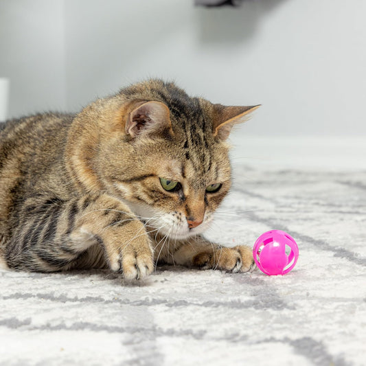 SPOT Slotted Balls Cat Toy - Interactive Cat Toys for Indoor Cats to Chase, Hunt and Stimulate - Jingle Bell Inside for Sound When Batted Around - Safe and Non-Toxic - 1.5" Assorted 4-Pack - Image 2