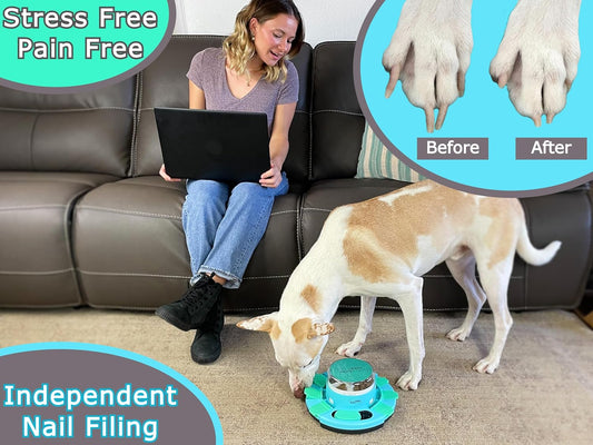 Dog using Zenly Paws scratch pad for natural nail grooming