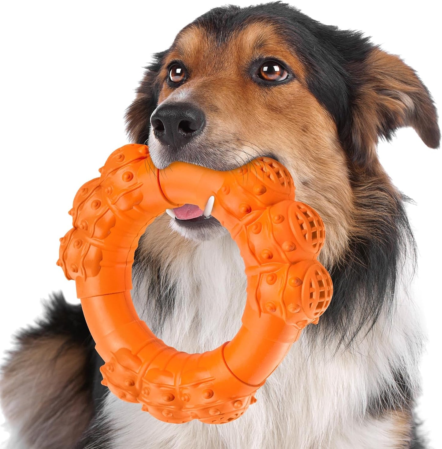 Indestructible Dog Chews - Super Duty Chew Toys for Aggressive Dogs, Puppy Teething Relief & Interactive Play - Image 15