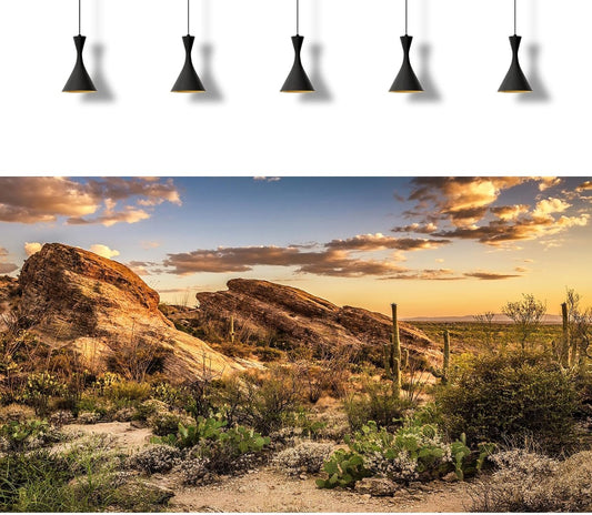 OHIOCATII aquarium background sheet showing the seamless high-definition Saguaro cactus print.
