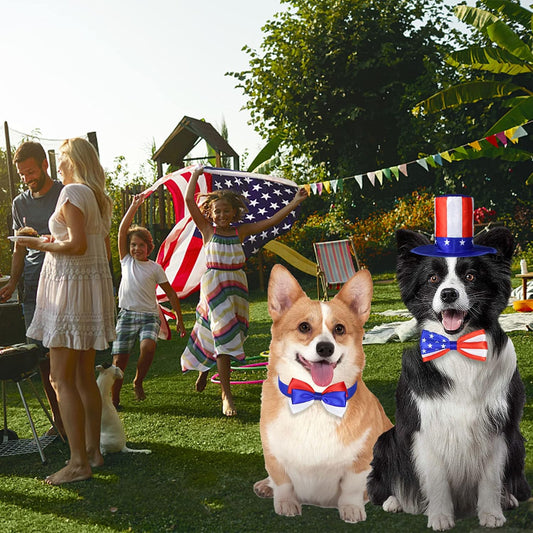 Uncle Sam dog top hat with American flag pattern