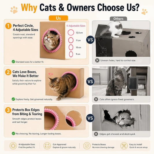 Cat rubbing against TWWidgon grooming arch on a box