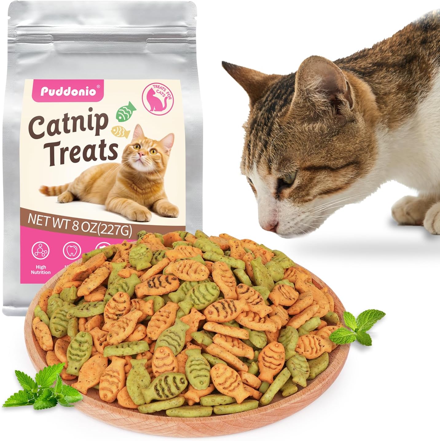 Catnip Cat Treats, Chicken & Salmon Flavor Crunchy Cat Biscuits, Fish-Shaped Training Snacks for Adult Cats, 16 oz - Image 10
