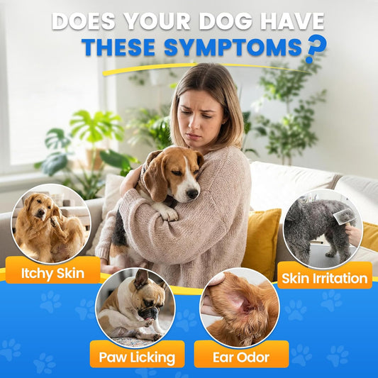 Bacon flavored liquid dog allergy relief supplement close up
