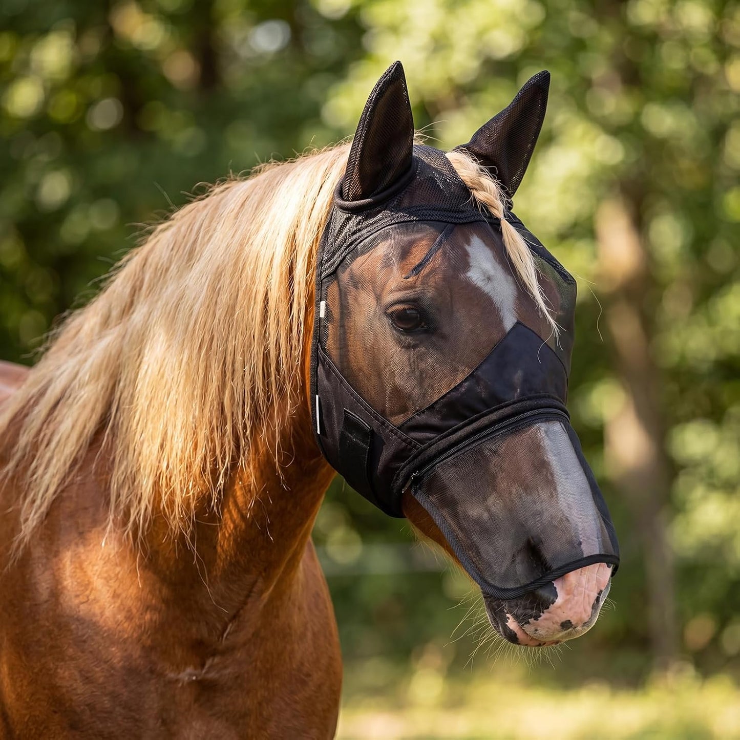 Detailed view of horse fly mask mesh fabric and stitching quality