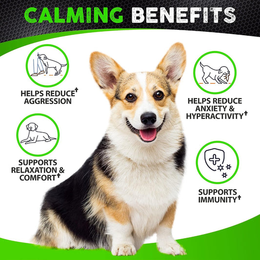 Dog anxiety relief soft chews jar with beef flavor details.