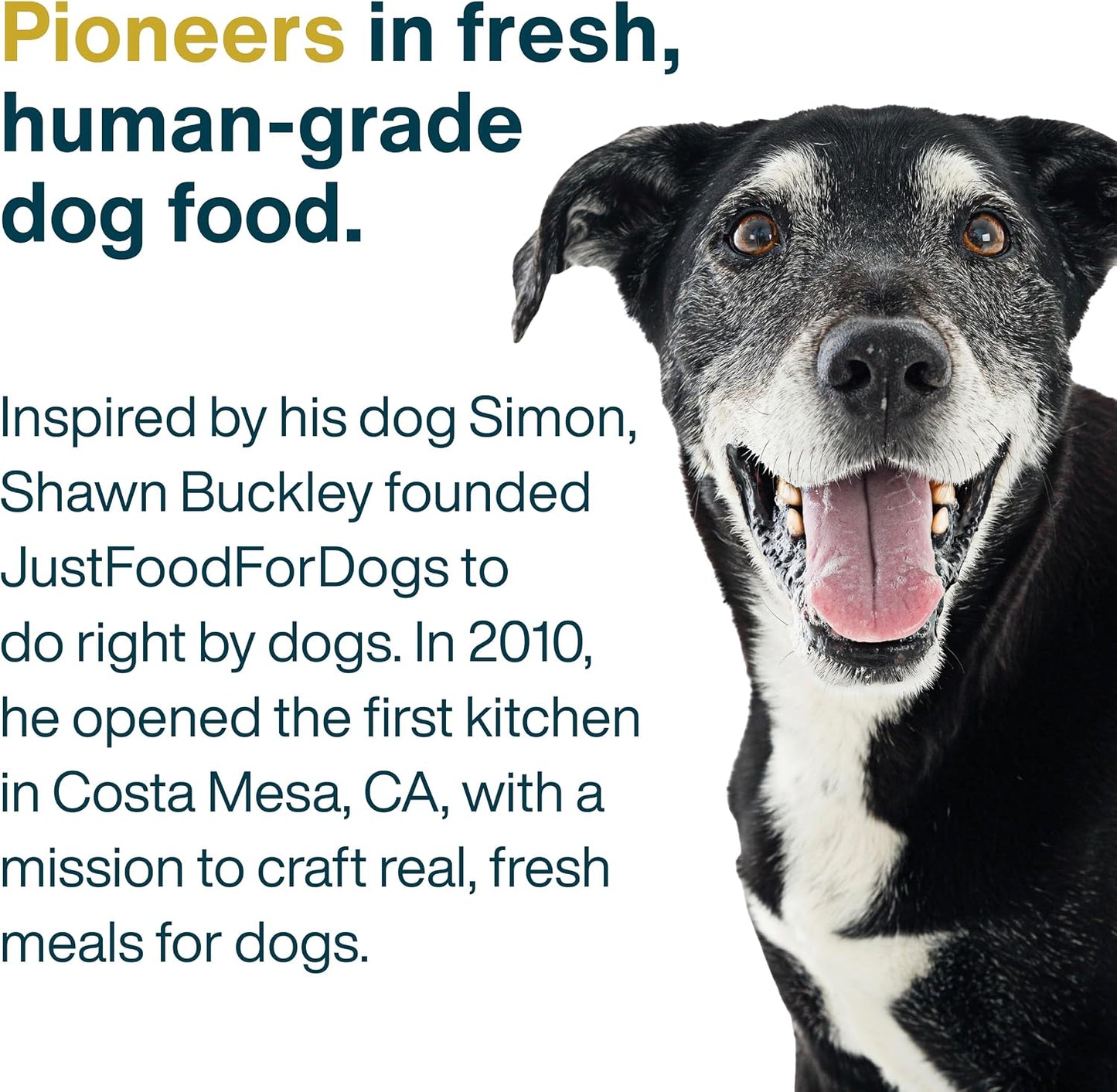 Healthy fresh dog food topper for canine wellness