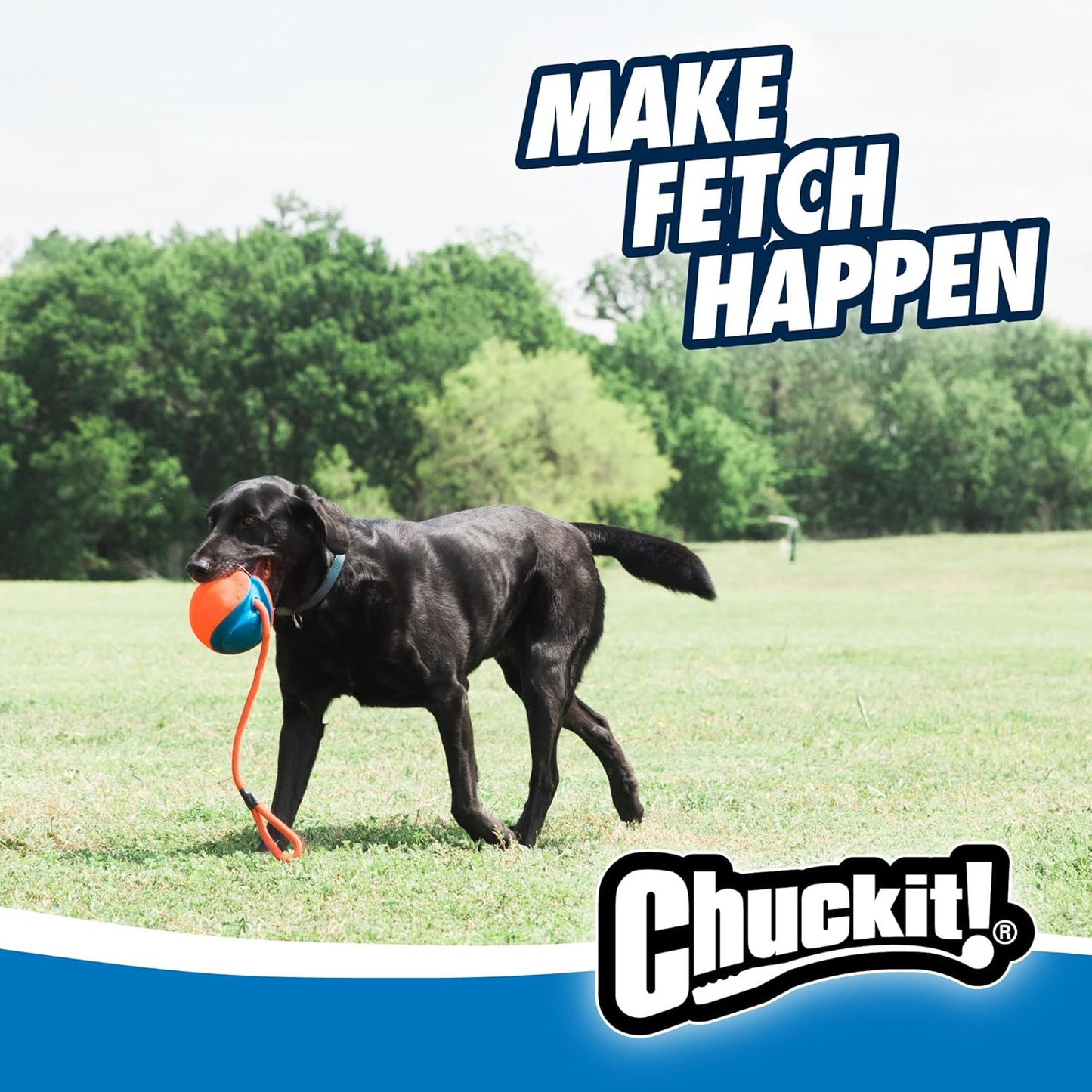 Authentic Chuckit interactive pet toy designed for durable outdoor play and exercise