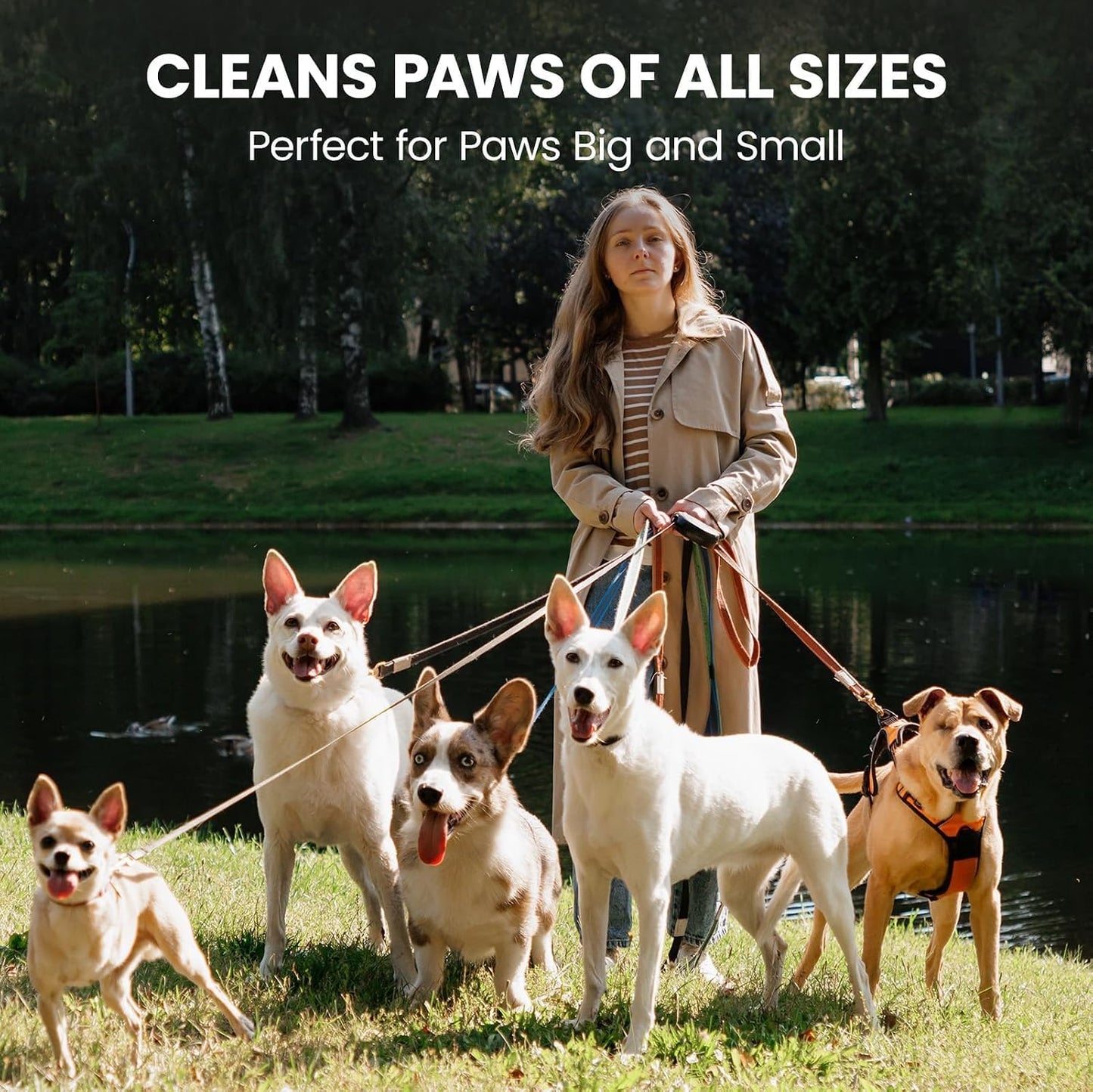 PawSono Paw Cleaner for Dogs & Cats, No-Rinse Foaming Pet Foot Washer with Built-in Scrubber Brush for Dirty, Muddy Paws - Suitable for Small, Medium & Large Dogs, Puppies, Kittens (5 fl oz) - Image 9