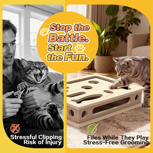 Interactive cat nail file box with top holes revealing inner maze paths