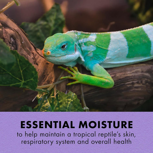 Zilla reptile humidity spray bottle for tropical terrariums